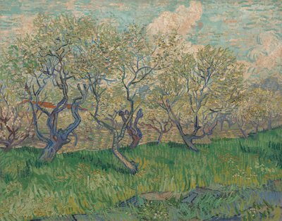 Blühender Obstgarten von Vincent van Gogh